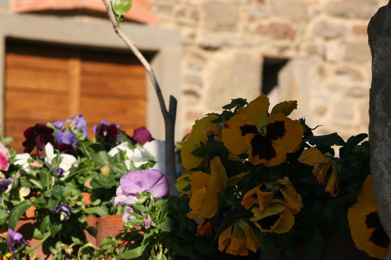 Podere Pian De' Cortini Villa Serravalle  Exterior foto